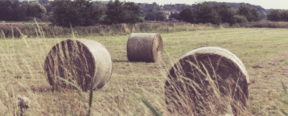 Bales of hay